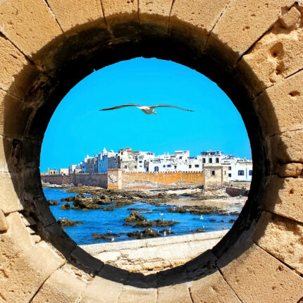 IL FAVOLOSO SUD: MARE, DESERTO E LA CITTÀ IMPERIALE DI MARRAKECH